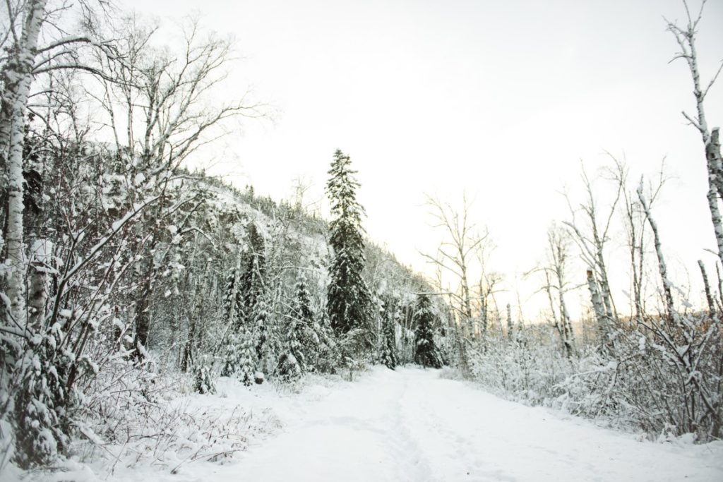 Snowshoe Minnesota at Cove Point Lodge