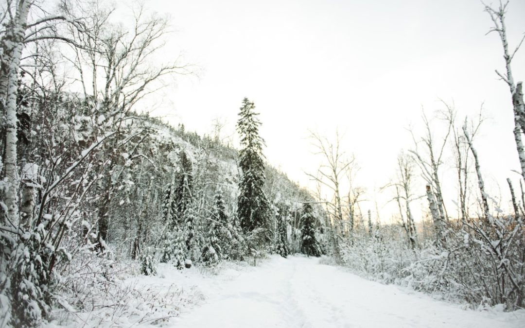 Snowshoe Minnesota at Cove Point Lodge