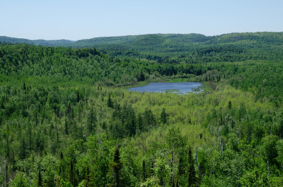 Bean Lake (Medium)