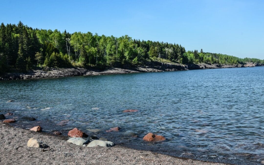 Explore the Shore at Sugarloaf Cove Nature Center