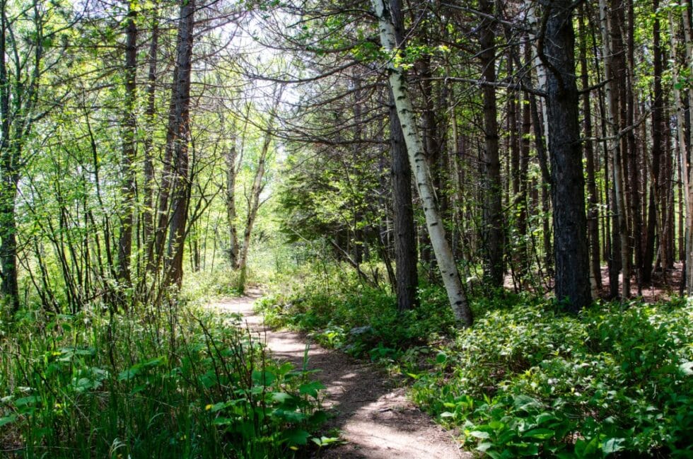 Sugarloaf Nature Center North Shore Minnesota Vacation at Cove Point