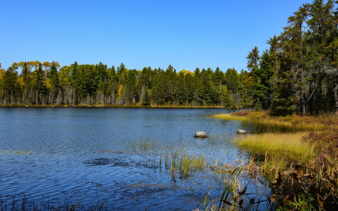 Flathorn Lake – Trail for All Seasons