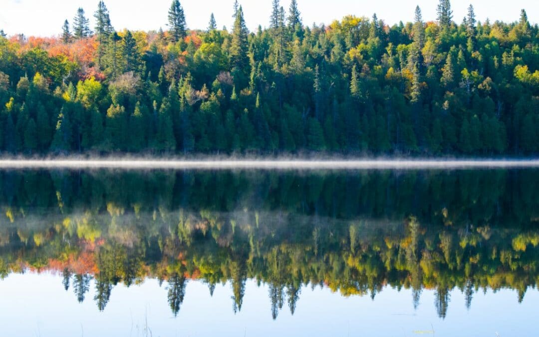 Benson Lake Loop – Peaceful Escape | North Shore Adventure