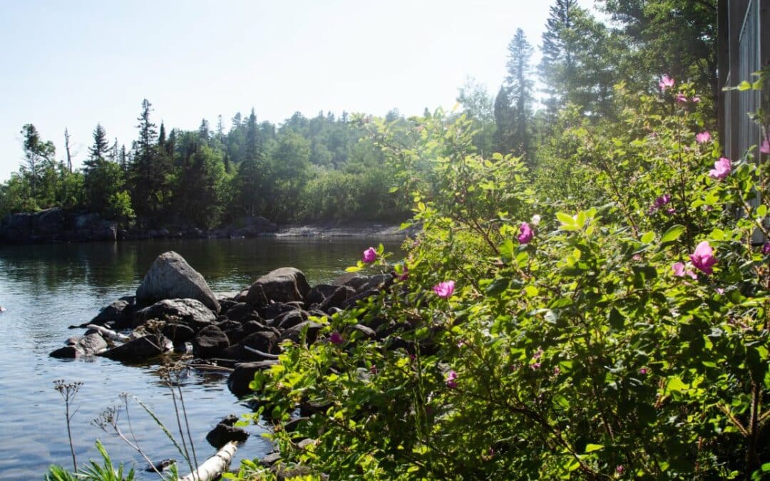 Summer is Blooming at Cove Point Lodge