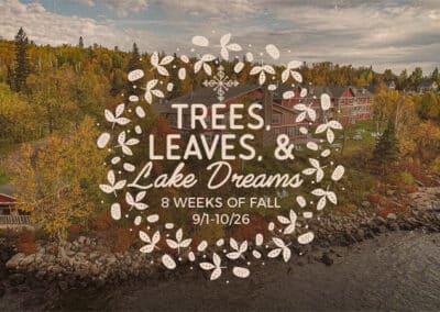 Trees, Leaves, & Lake Dreams