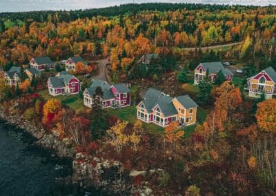 Trees, Leaves, & Lake Dreams – Save 20%