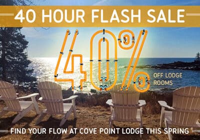 40% Off Flash Sale