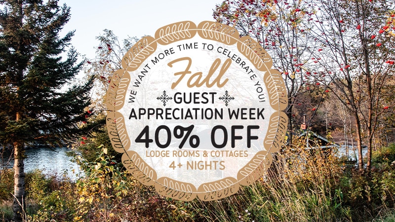 CPL_GuestApp_Graphic40_1025