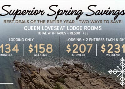Superior Spring Savings – Best Deals of the Year